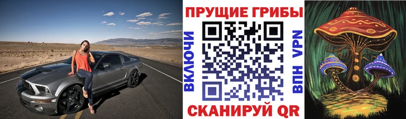 Псилоцибиновые грибы Psilocybine cubensis Серпухов