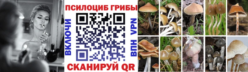 Галлюциногенные грибы мицелий  Купить  Серпухов 
